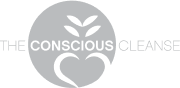 concious-cleanse grey logo