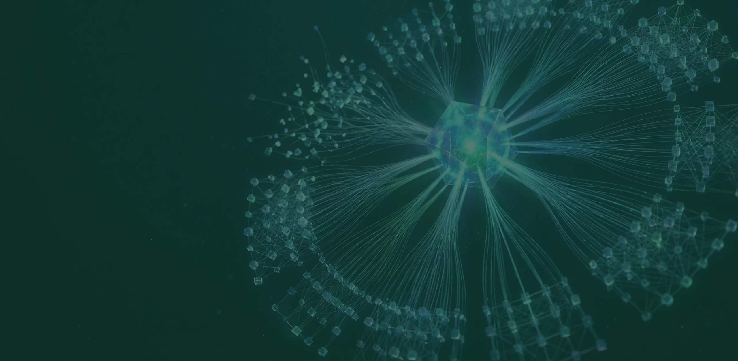 Debt Settlement Hero Image